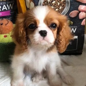 Meet your Posher, Garrett